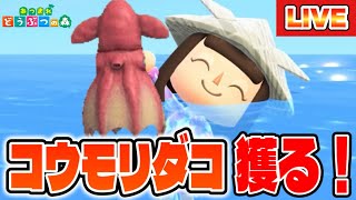 【あつ森】海の幸図鑑コンプへの道！～コウモリダコを獲りたい！！！～