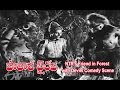 Patala Bhairavi Telugu Movie NTR S Friend In Forest With Devils Comedy Scene NTR ETV Cinema