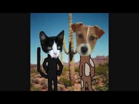DOG AND CAT SING 10 HOURS