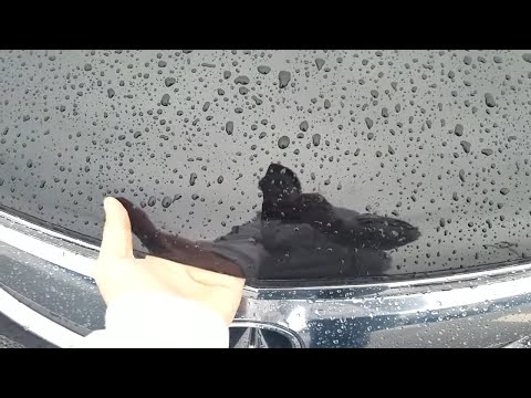 DIY Guide: How to Open Your 2015-Present Acura Hood – Quick and Easy Steps