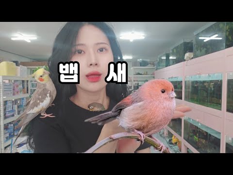 아이콘