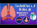 ரெஸ்பிரேட்டரி சிஸ்டம் | The Respiratory System | Dr. Binocs Tamil | Kids Educati