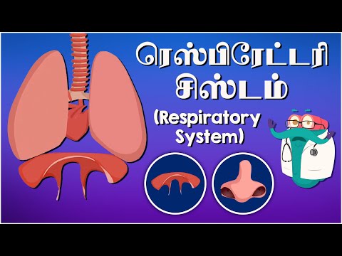 ரெஸ்பிரேட்டரி சிஸ்டம் | The Respiratory System | Dr. Binocs Tamil | Kids Educational Video in Tamil