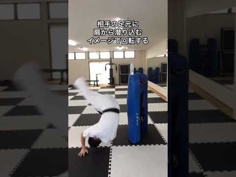 胴まわし回転蹴り
