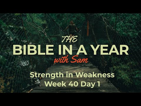 #196 | Week 40 Day 1 |  Strength in Weakness