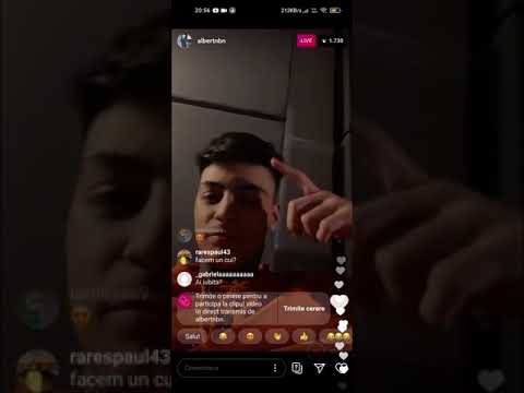 Albertnbn x nane - acordeon / snippet