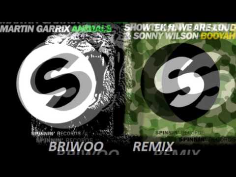 Martin Garrix vs Showtek Animals Booyah (Briwoo Remix)
