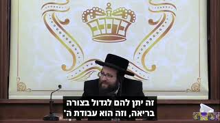 תן לילדים את הכוחות שאין לך – תתעניין בהם! | הרב יואל ראטה שליט"א  (הרב יואל ראטה) - התמונה מוצגת ישירות מתוך אתר האינטרנט יוטיוב. זכויות היוצרים בתמונה שייכות ליוצרה. קישור קרדיט למקור התוכן נמצא בתוך דף הסרטון