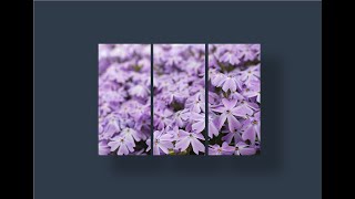 #파워포인트 강의 18레벨 – #도형 채우기 실습과 #도형으로 이미지 #마스크효과