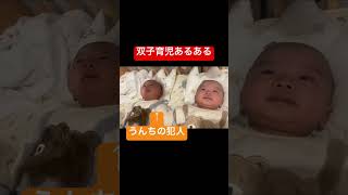 双子育児あるある　うんちの後#おむつ替え #双子#赤ちゃん#育児あるある
