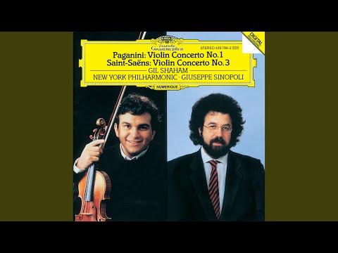 Paganini: Violin Concerto No. 1 in D Major, Op. 6, MS 21: I. Allegro maestoso