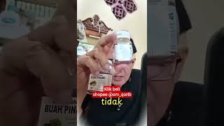 Download lagu kapsul buah pinang mp3 Download lagu kapsul buah pinang mp3