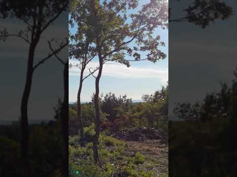 Plot on the hill with amazing sea view, Istria , Croatia