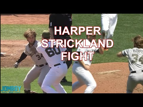 Bryce Harper and Hunter Strickland throw punches at each other, a breakdown