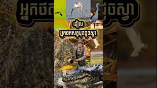 Download lagu Best Trip Birdphotography Part3 # #birds #wildlife mp3
