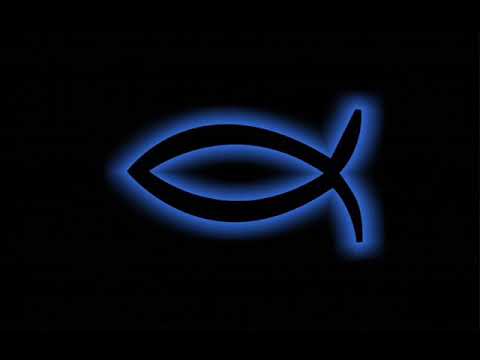 Un viaje largo: Marcela Gandara.