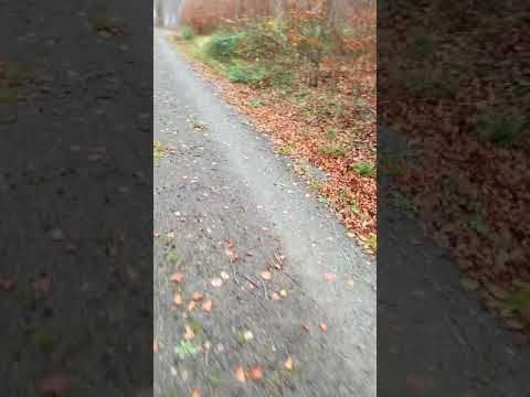 Selami Sağir'dan [Sever mi Sevmez misin?]