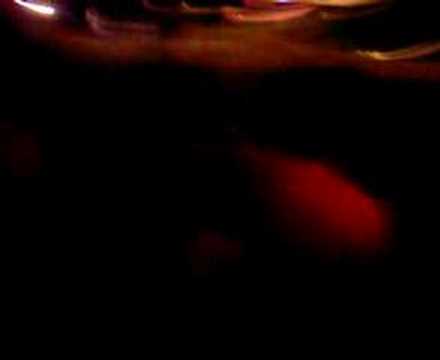 a nightmare in rotterdam 2008