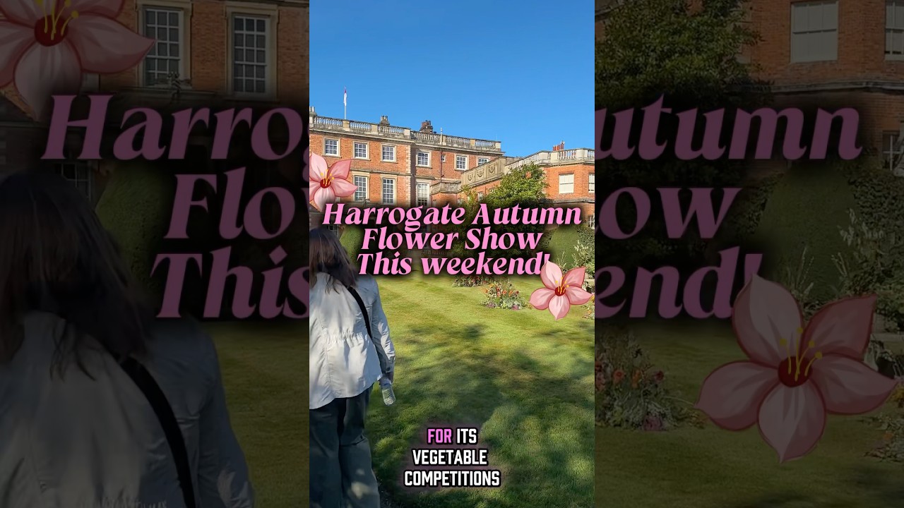 Colossal Crops Wow Crowds at Harrogate Autumn Flower Show