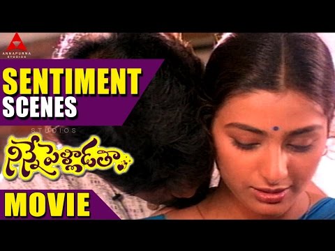 Ninne Palladatha Movie Sentiment Scene - Ninne Pelladatha Movie - Nagarjuna,Tabu