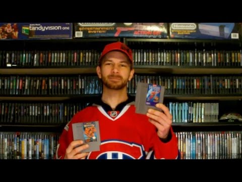 68e meilleur jeu NES selon internet!  -- Legendary Wings - Tecmo World Wrestling --