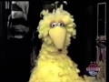 Sesame Street Big Bird Opens The Store For Mr Hooper
