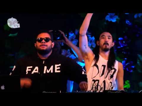 Tomorrowland 2013 Final performance - Steve aoki [HD]
