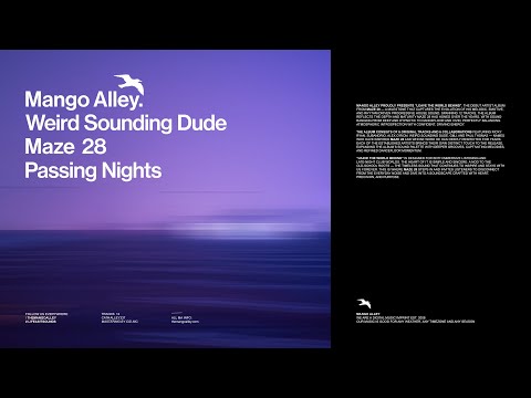 WEIRD SOUNDING DUDE & MAZE 28 Passing Nights