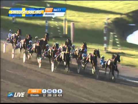 QUID PRO QUO  Vorlauf Svenskt Travderby 2013