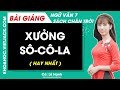 Xưởng Sô-cô-la Ngữ văn lớp 7 Chân trời sáng tạo