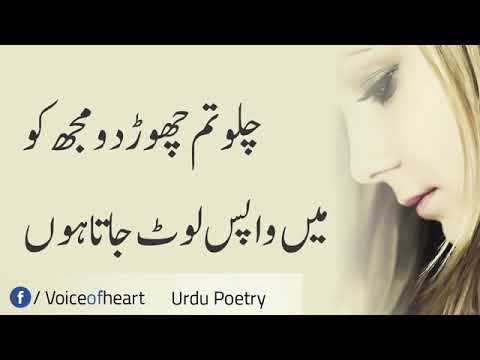 Abdul mujeeb ka song