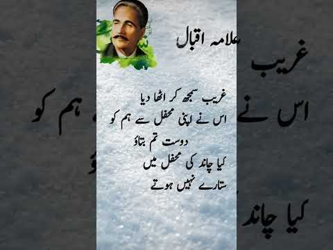 Allama Iqbal Urdu poetry ❤️❤️ #quotes #poetry #poetrylovers #goldenwords #shayaristatus #allamaiqbal