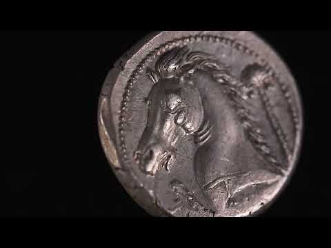 Sicília, Tetradrachm, 300-289 BC, Entella, Prata, NGC, AU(50-53), HGC:2-293