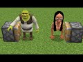 WHAT if Shrek + Momo in MINECRAFT ???