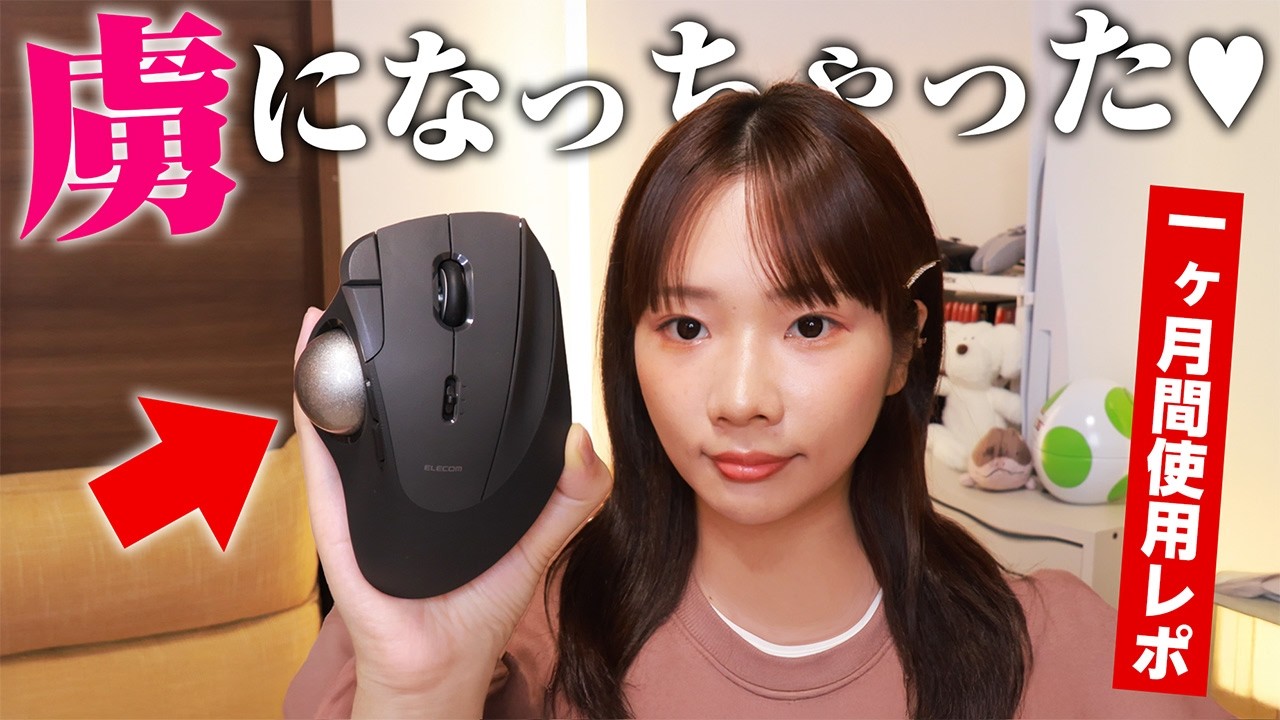 初めてトラックボールマウス(多ボタン)買ってみたけどこれマジで良い。