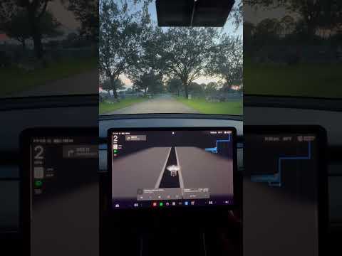 Tesla Sees Ghosts at Cemetery #ghost #tesla #paranormal #scary #fsd #automobile #cars #car #luxury
