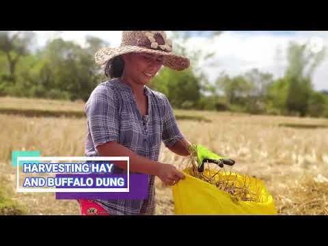 Einblicke ins Jahr der Lilok Farm