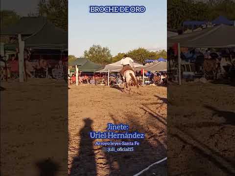 De un domingo por Arroyo leyes-Santa Fe 📌🤠 Jinete:Uriel Hernández✨Mí ig:juli_oficial15🌹#jineteadas