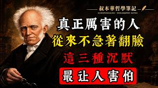 讓人真正害怕的不是脾氣，而是這三種沉默，真正厲害的人，從來不急著翻臉！#處世智慧 #叔本華 #心理學 #人際關係 #情緒管理 #情商 #個人成長 #灰岩法則