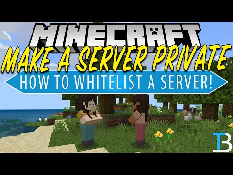 How To Whitelist a Minecraft Server (How To Make a Minecraft Server Private!)