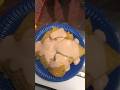 Belizean Cheese Dip (how to make)