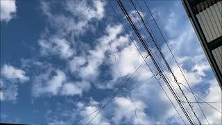 お帰りなさいと言うべきなのかな？