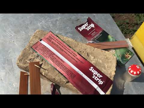 Pčelarstvo 2021 - Zaštita Protiv Varoe