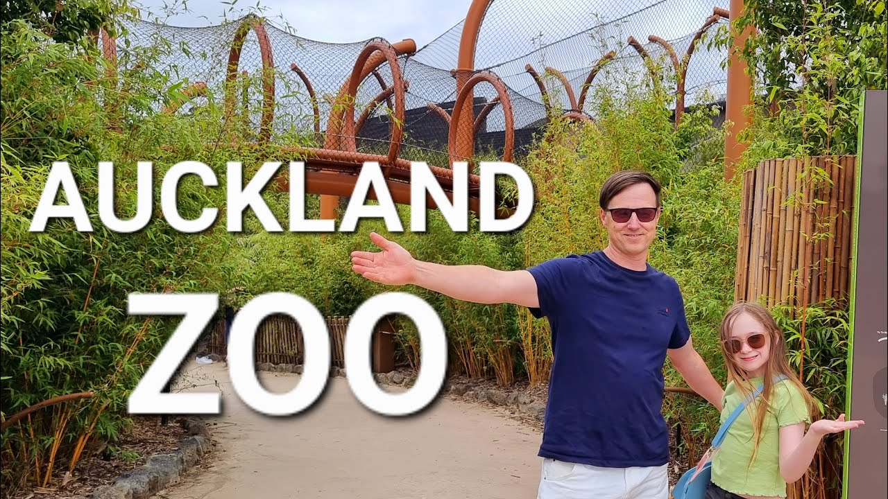 Experience a journey to Auckland Zoo through the lens of tourist.