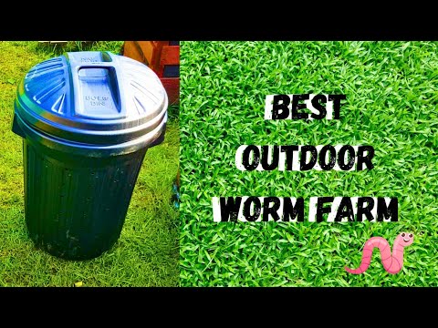 The Worm Reactor | Simplest Beginners DIY Outdoor Worm Farm