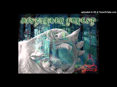 09 Dark Cygnus - Space Destiny