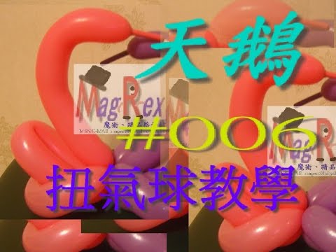 MagRex扭氣球教學 - 日鵝夜鵝 天鵝氣球造型 教學 Qualatex 長氣球 新手必學 最注目單條氣球造型 Balloon Art 課堂#006 香港廣東話