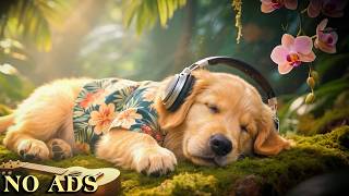 愛犬のためのリラクゼーションセラピー | 連続再生で愛犬のストレスを優しく管理し、心理的な安定をもたらす心地よい音楽。お留守番中の不安を解消し、深くリラックスして眠れるように導く癒しのBGM