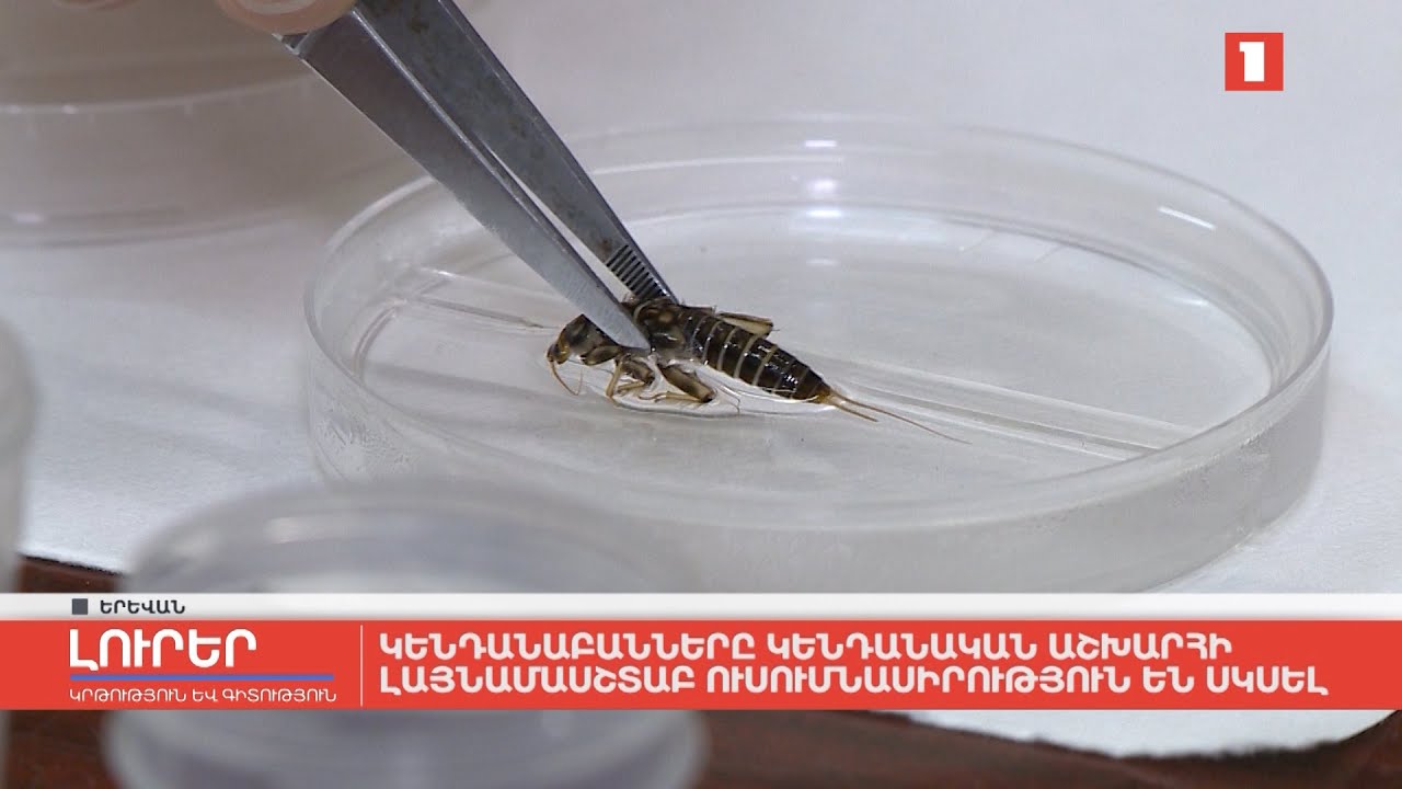 Կենդանաբանները կենդանական աշխարհի լայնամասշտաբ ուսումնասիրություն են սկսել