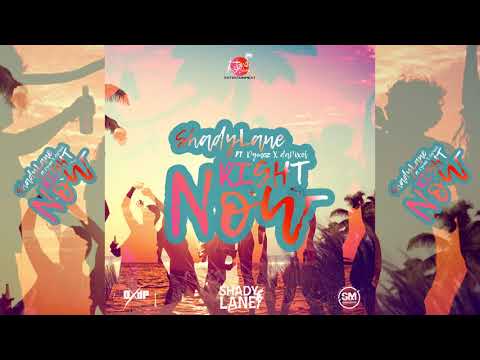 ShadyLane feat. Dymez x daPixel (DxdP) - Right Now "Vincy Soca 2018"